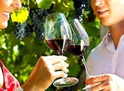 Besøg vinmarker og prøv vinsmagning i Barcelona, Spanien